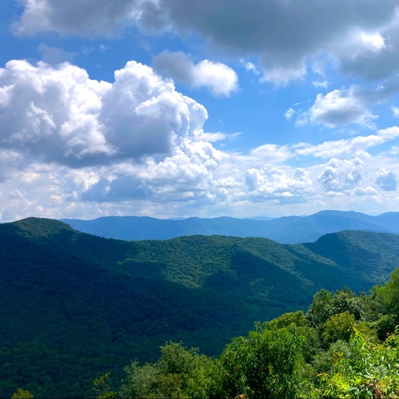 Meet your Posher, Lindsey - Picture 1 of 1